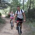 Castellón, 2015
