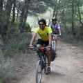 Castellón, 2015