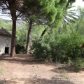 Castellón, 2015