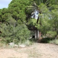 Castellón, 2015