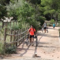 Castellón, 2015