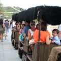 IV Benicàssim Belle Époque
