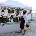 IV Benicàssim Belle Époque