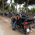 Bike Show