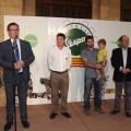Castellón, 2015