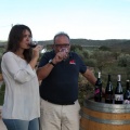 Bodega Vicente Flors