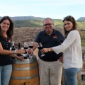 Bodega Vicente Flors