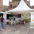 Carpa de la Movilidad Sostenible y exposición de vehículos eléctricos