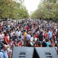 Castellón, 2015