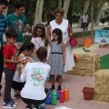 Castellón, 2015