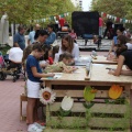 Castellón, 2015