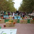 Castellón, 2015