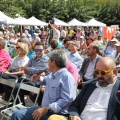 Castellón, 2015