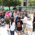 Castellón, 2015