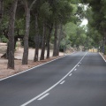 Castellón, 2015