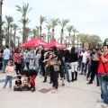 feCStival