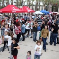 feCStival