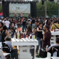feCStival