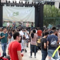 feCStival