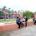 feCStival
