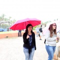 feCStival