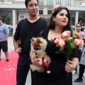 Yincana de Feria Tu Boda
