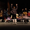 Gala del folclore aragonés