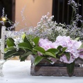 Presentación de la revista AND NOVIAS
