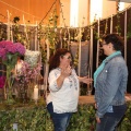 Castellón, Feria Tu Boda 2015