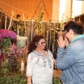 Castellón, Feria Tu Boda 2015