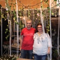 Castellón, Feria Tu Boda 2015
