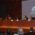Castellón, 2015
