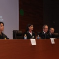Castellón, 2015