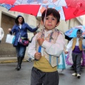 Fiestas de Sant Roc del Raval