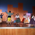 Premis de la Cultura Grau 2015