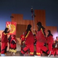 Premis de la Cultura Grau 2015