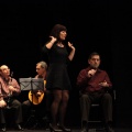 Homenatge a Carles Salvador