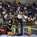 ATP Valencia - Valencia Open - Tenis