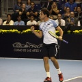 ATP Valencia - Valencia Open - Tenis
