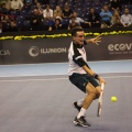 ATP Valencia - Valencia Open - Tenis
