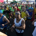 XXXII Media Maratón LIDL Ciudad de Castellón