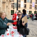 Fiesta de la Banderita de Cruz Roja
