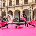 Colegio Lledó con Cruz Roja