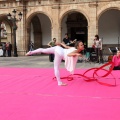 Colegio Lledó con Cruz Roja