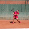 Circuito WTA