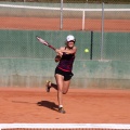 Circuito WTA