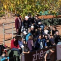 Castellón, deportes, Nules 2015