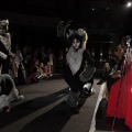 Castellón, Magdalena 2016