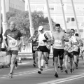 VI Maratón BP Castellón