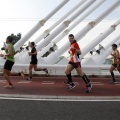 VI Maratón BP Castellón